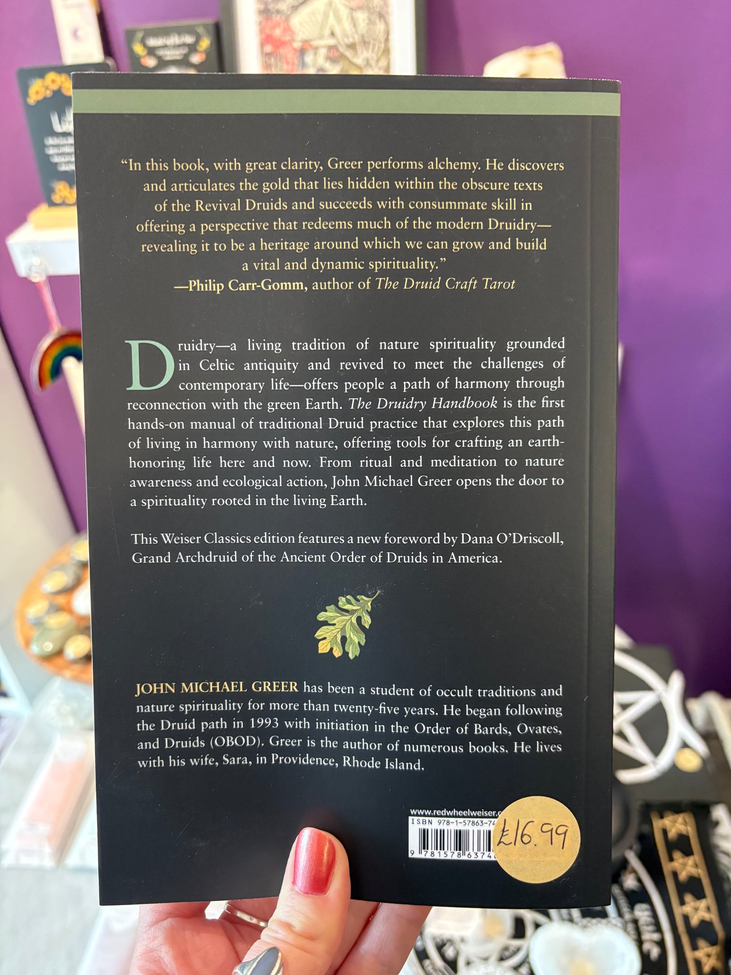 The Druidry Handbook - John Michael Greer