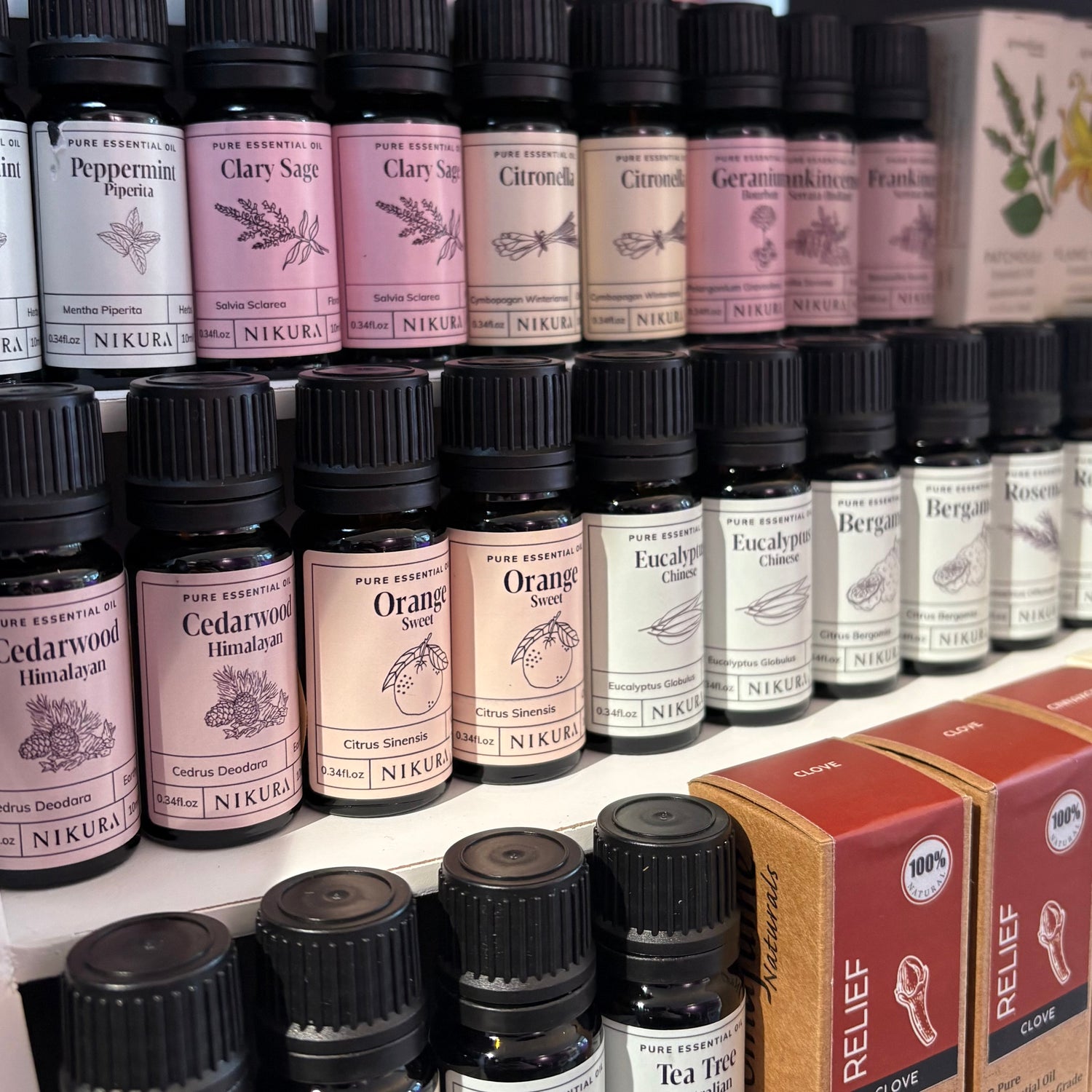 Essential Oil
