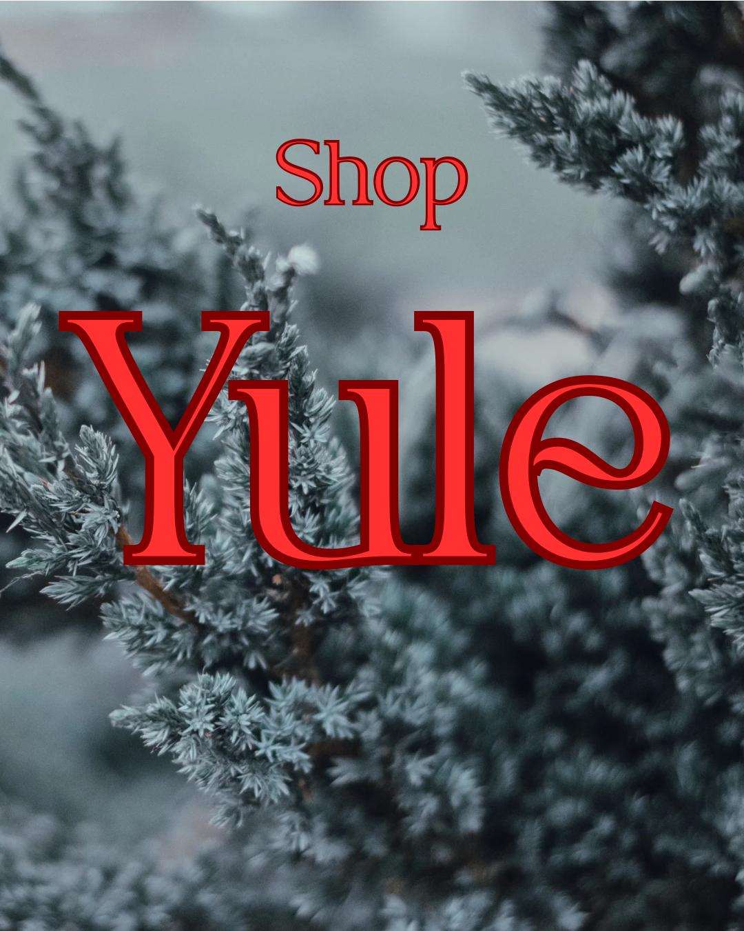 Shop Yule!