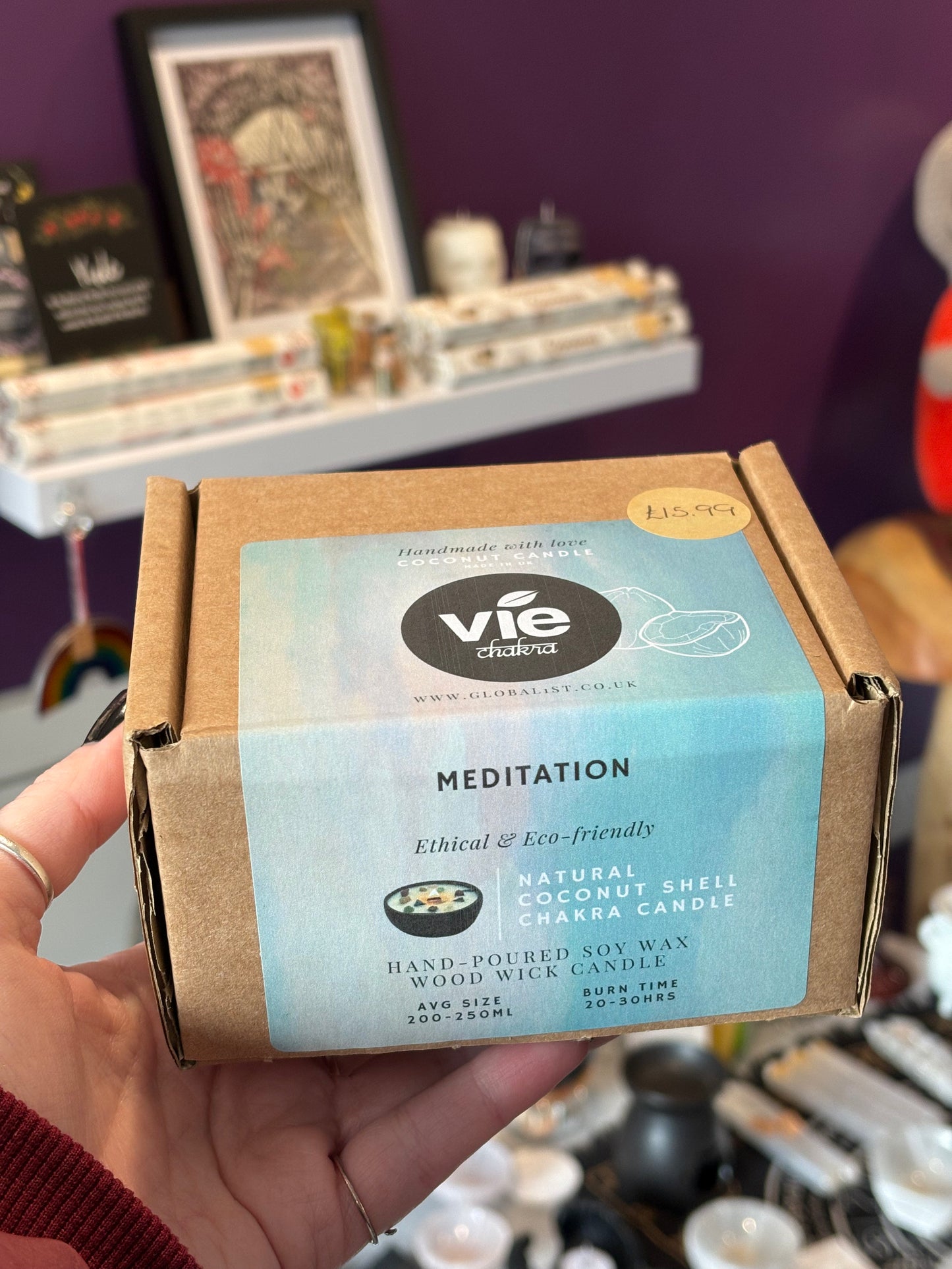 Natural Coconut Shell Chakra Candle